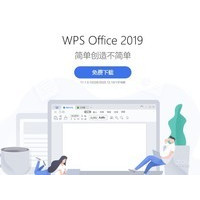 wps专业增强版
